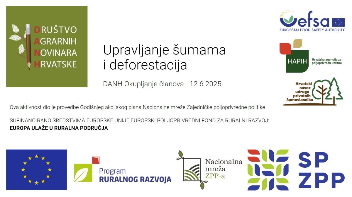 Vizual eventa