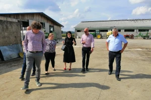 Udruga Baby Beef: Potražnje nema, a cijene junadi nikad niže