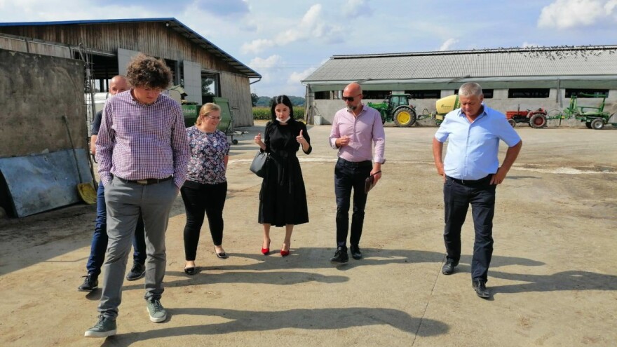 Udruga Baby Beef: Potražnje nema, a cijene junadi nikad niže