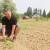 Kako su Kinezi “kumovali” proizvodnji buča u Zagorju