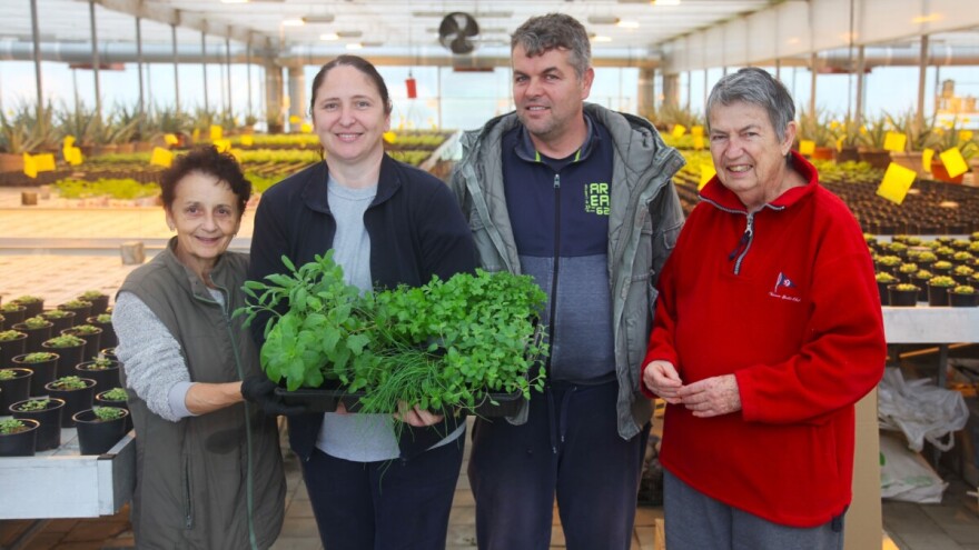 Upoznajte pionire hrvatske proizvodnje začinskog bilja u teglicama