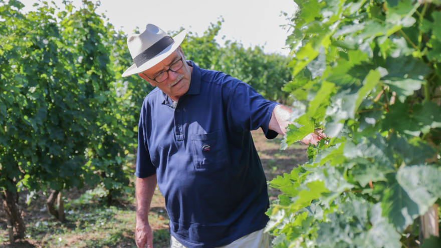 Sibernet – kutak za slatki hedonizam nevjerojatnog Mladena Sibera
