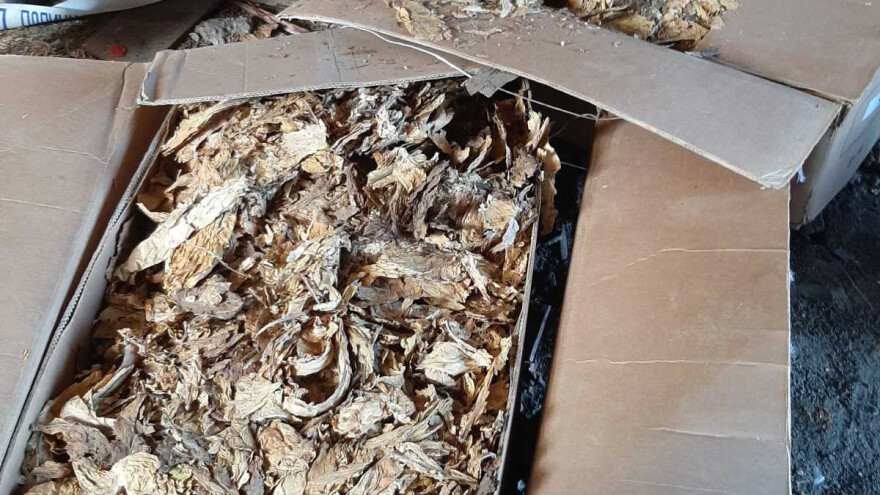 Zaplenjeno 2,6 tona sušenog duvana u Irigu