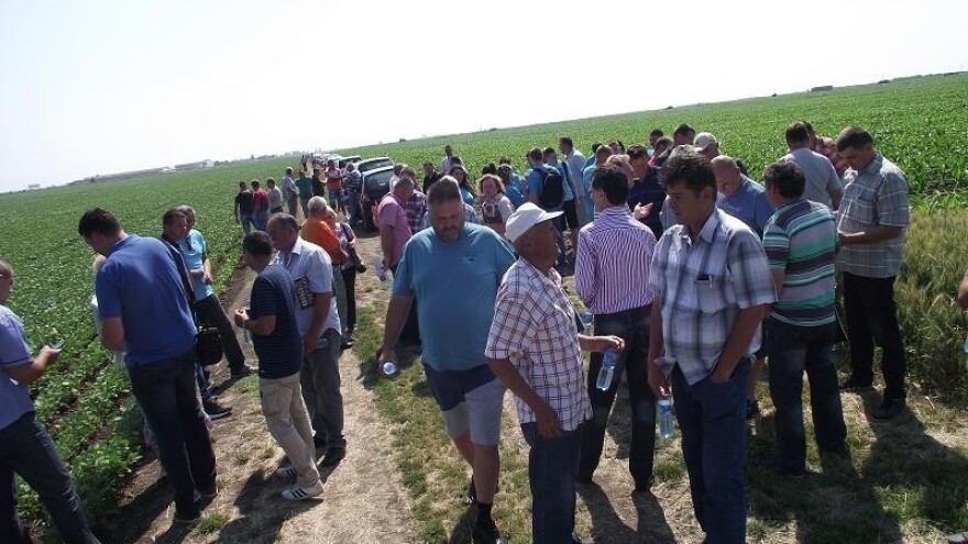 Održan Dan polja strnih žita u Rumi!