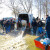 Poribljavanje u Vojvodini - planirano puštanje oko 14 tona mlađi šarana