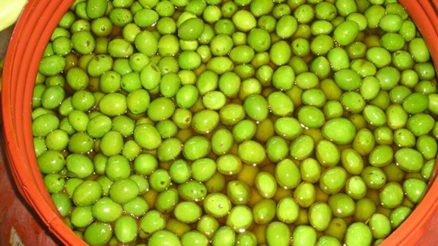 Branje zelenih plodova