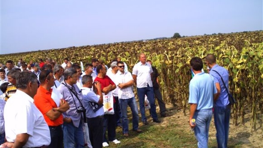 Hrvatska zemlja sunčanih cvjetova