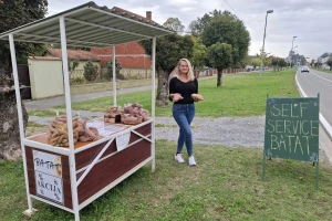 U Suhopolju prodaje batat na štandu bez prodavača: "Poslužite se sami"