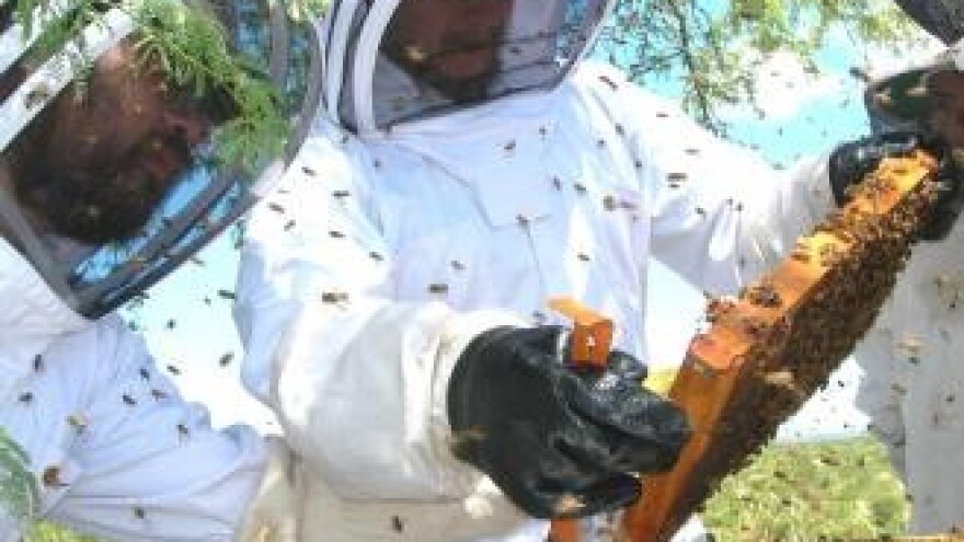 Nazire se kraj varoi