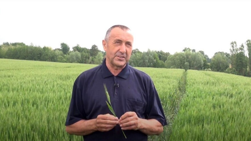 Zaštita pšenice od fuzarioze klasa - bolesti koja značajno može smanjiti prinose