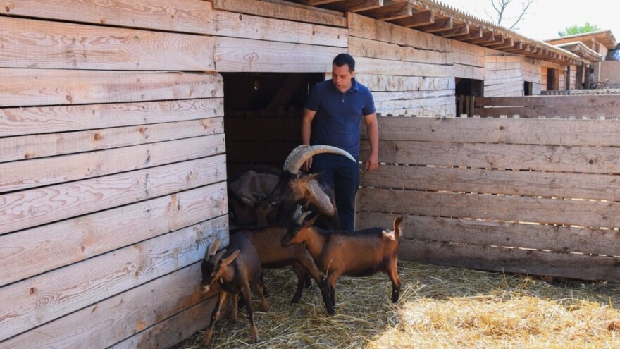 Radojević: "Srećna koza" pravi primer gde su povezani stočarstvo, prerada i trgovina