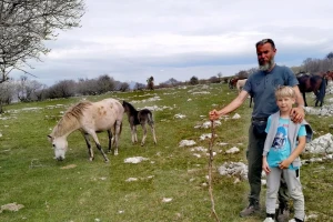 Agentic AI bi mogao da zameni sto kriznih štabova: Da li je poljoprivreda spremna?