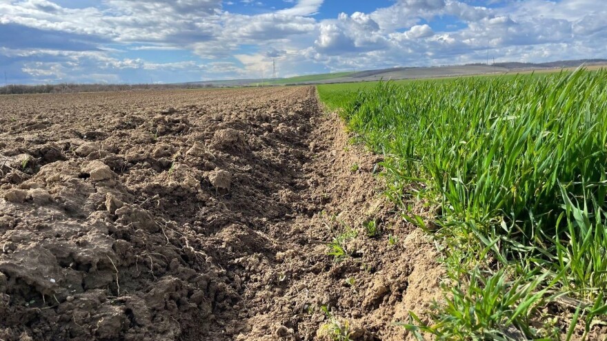 Studija i Pravilnik o područjima s prirodnim ograničenjima su loši, paušalni i neprihvatljivi?