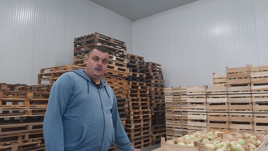 Pored dobrog prinosa, voćar iz Blaznava će čekati i bolju cenu jabuka
