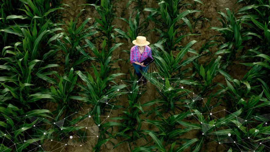 Kako povećati profitabilnost pomoću digitalne poljoprivrede?