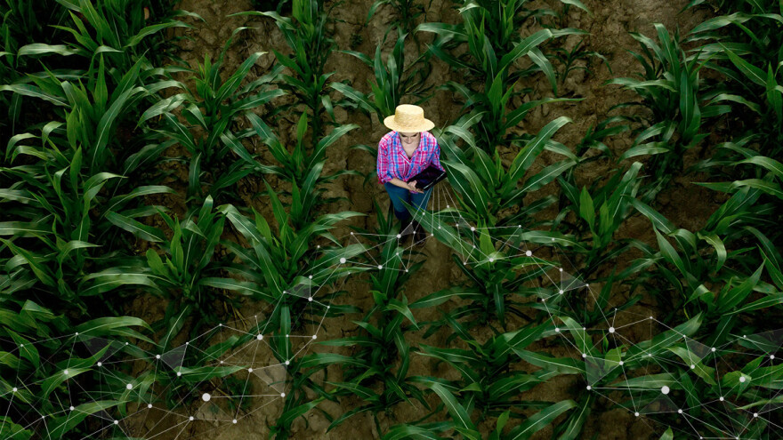 Kako povećati profitabilnost pomoću digitalne poljoprivrede?