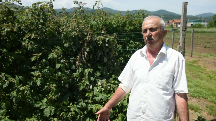 Država ti vrati 60 odsto, ti nećeš da osiguraš - pa šta 'oćeš onda?