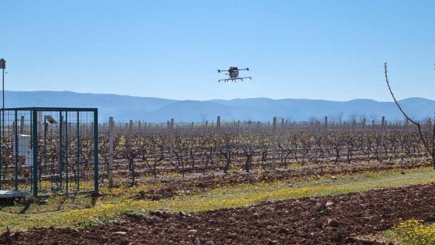 Primjena drona u zaštiti voćaka i vinove loze