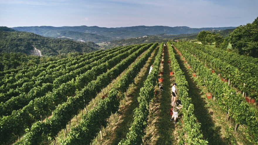 Vinistra dovodi Decanter u Hrvatsku