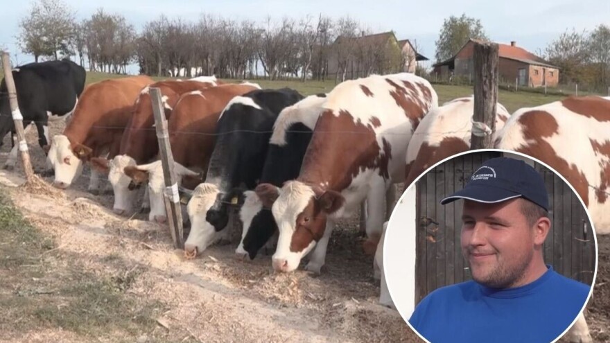 Nemanja je najbolji stočar u Lajkovcu: Radimo mnogo, trebalo bi više i da zaradimo