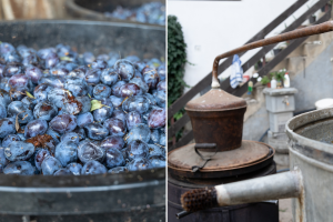 "Šljivovica. Samo me ta gospođa interesuje" - kako smo složno ispekli rakiju