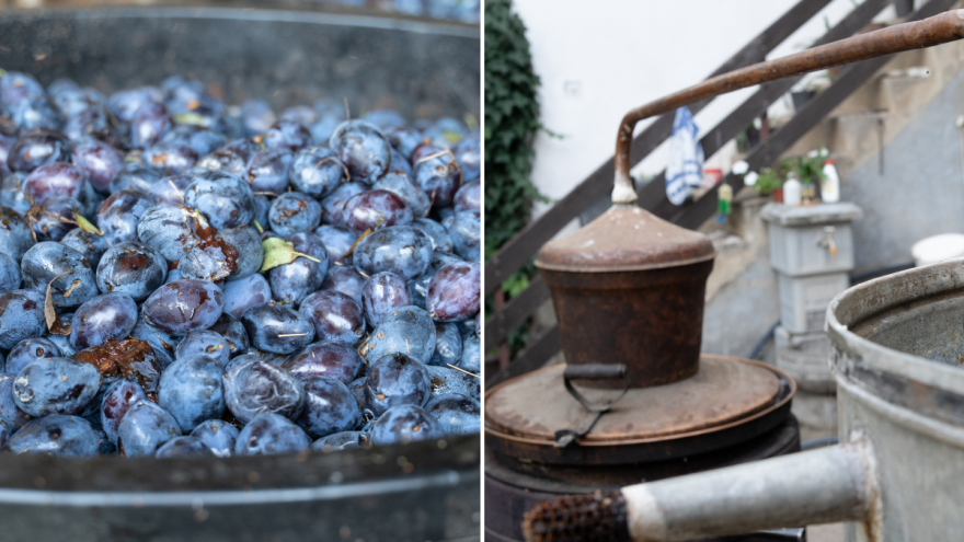 "Šljivovica. Samo me ta gospođa interesuje" - kako smo složno ispekli rakiju