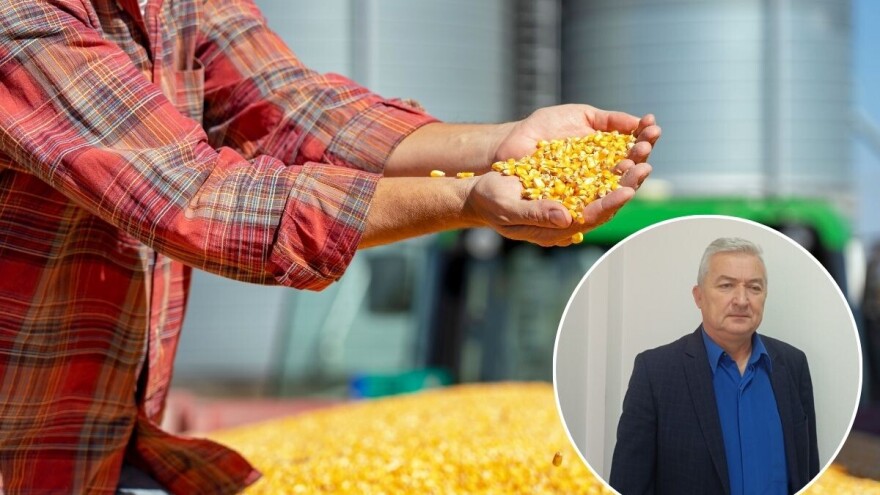 Prva karika paor, poslednja kupac - a ko "kupi kajmak" u lancu od njive do trpeze?