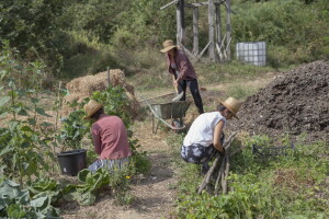 Treća Konferencija o održivosti prehrambenog sustava "Naša dobra hrana"