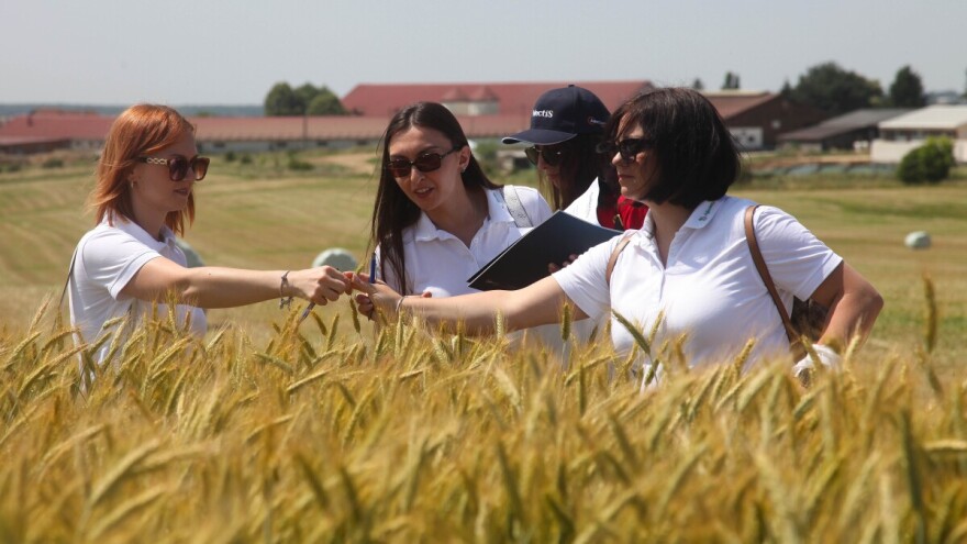 Kako su proizvođači ocijenili pomno selektirane sorte pšenice i ječma?