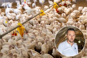 Radomir Marčeta gaji 900 ćuraka - od proizvodnje do prerade mesa