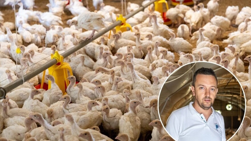 Radomir Marčeta gaji 900 ćuraka - od proizvodnje do prerade mesa