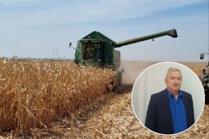 Nedostatak kukuruza napravio je pravi lom na tržištu. Na čiji teret ide gubitak?