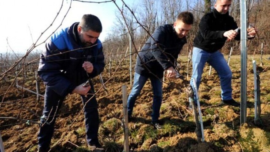 Otpad iz poljoprivrede koji to nije!
