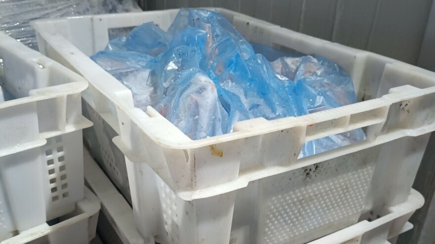 Ministarstvo poljoprivrede: Sprečeno širenje salmonele, uništeno 17.660 kg živinskog mesa