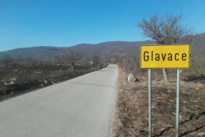Obraniti stada od čopora vukova bez pomoći države - poljoprivrednici ne mogu