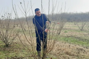 Tomislav Pustički: Za lijesku je potrebno znanje, strpljenje i puno volje, ali isplati se
