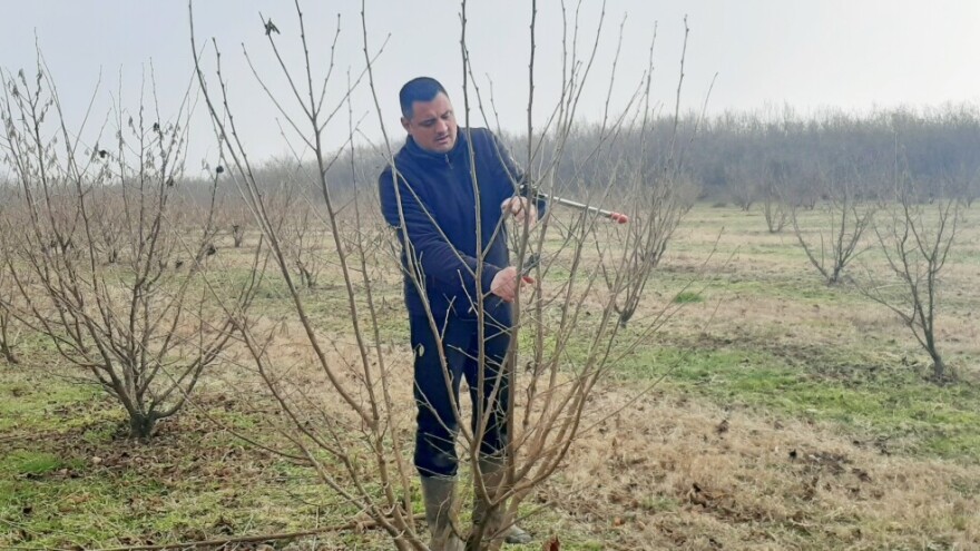 Tomislav Pustički: Za lijesku je potrebno znanje, strpljenje i puno volje, ali isplati se
