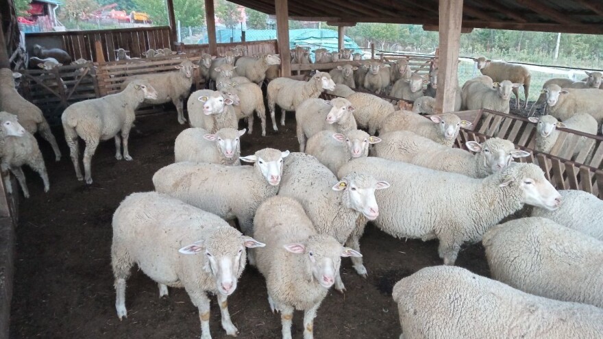 Mijenja ovce za mehanizaciju - parkirana gvožđarija lakše čeka kupca