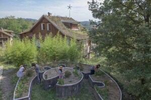 Što nas je Covid-19 kriza naučila o proizvodnji i konzumaciji hrane?