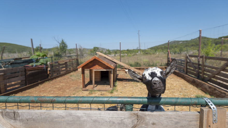 Fresh Click: Poljoprivreda i turizam najugroženiji su pandemijom