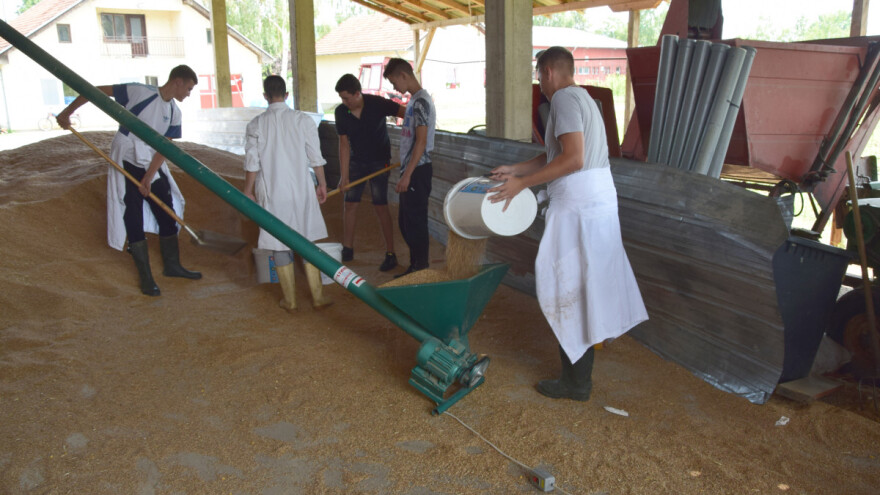 Obrađuju oko 50 ha zemlje, a uskoro će proizvoditi i lekovito bilje