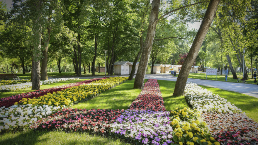 Približava se 56. Floraart - najveći međunarodni sajam cvijeća u ovom dijelu Evrope