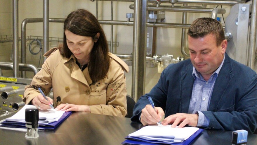 Mliječni put Hrvatske: Za mjesec i pol iz virovitičke mljekare izlaze prvi sirevi