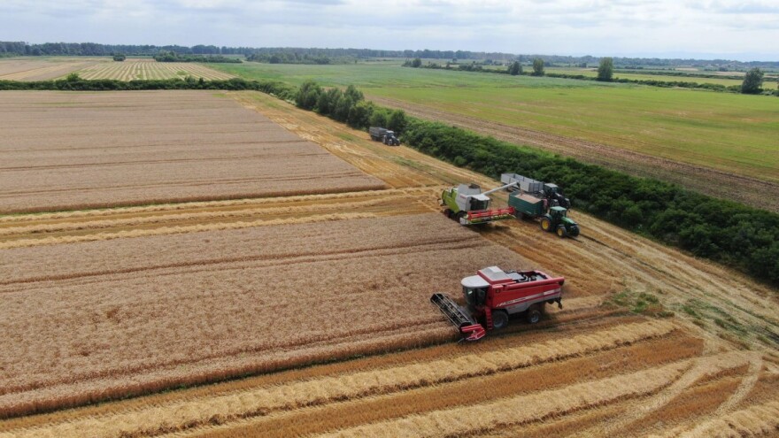 Kakvi su rezultati prinosa pšenica na istoku Hrvatske?