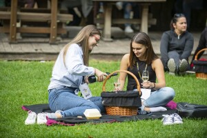 Vinski mjesec u Virovitičko-podravskoj županiji - za izbor vina presudna tri kriterija