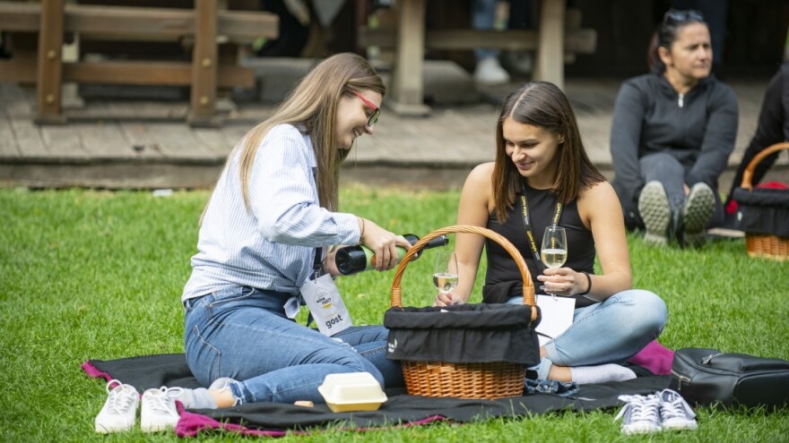Vinski mjesec u Virovitičko-podravskoj županiji - za izbor vina presudna tri kriterija
