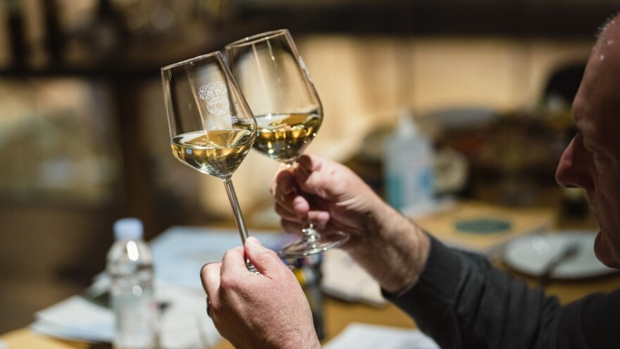 Vinistra u 2023. najavila osam vinskih događanja