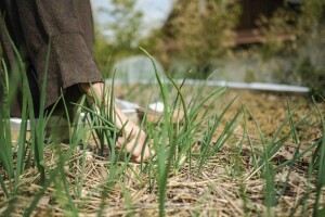 ZMAG: Konvencija prirodnog graditeljstva i Dan permakulture