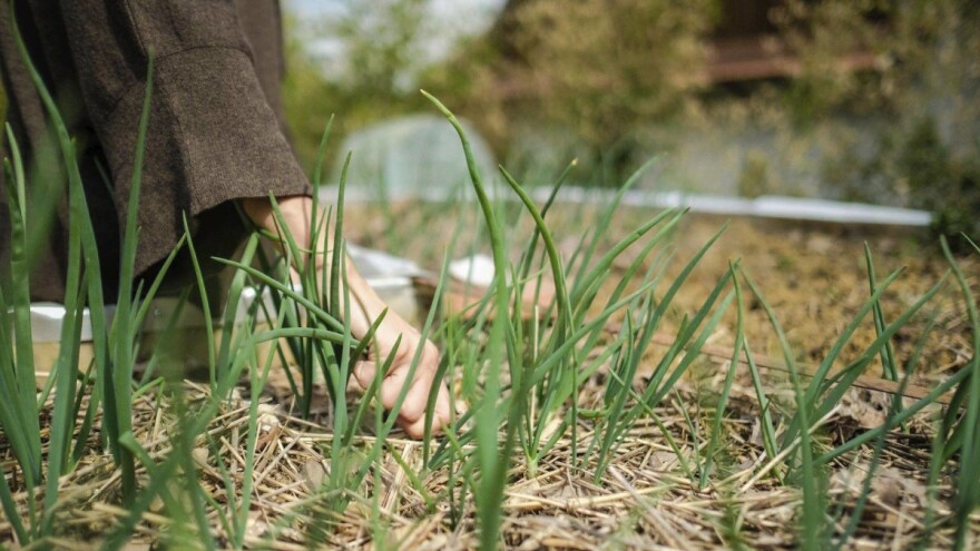 ZMAG: Konvencija prirodnog graditeljstva i Dan permakulture