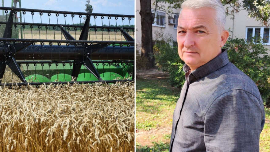 Kad pšenica rodi pre vremena - cena će samo rasti?